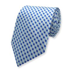 stropdas geruit blauw wit