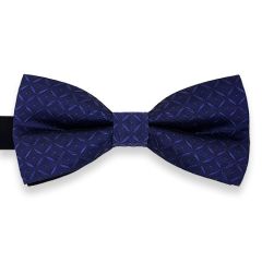 vlinderstrik blauw paars